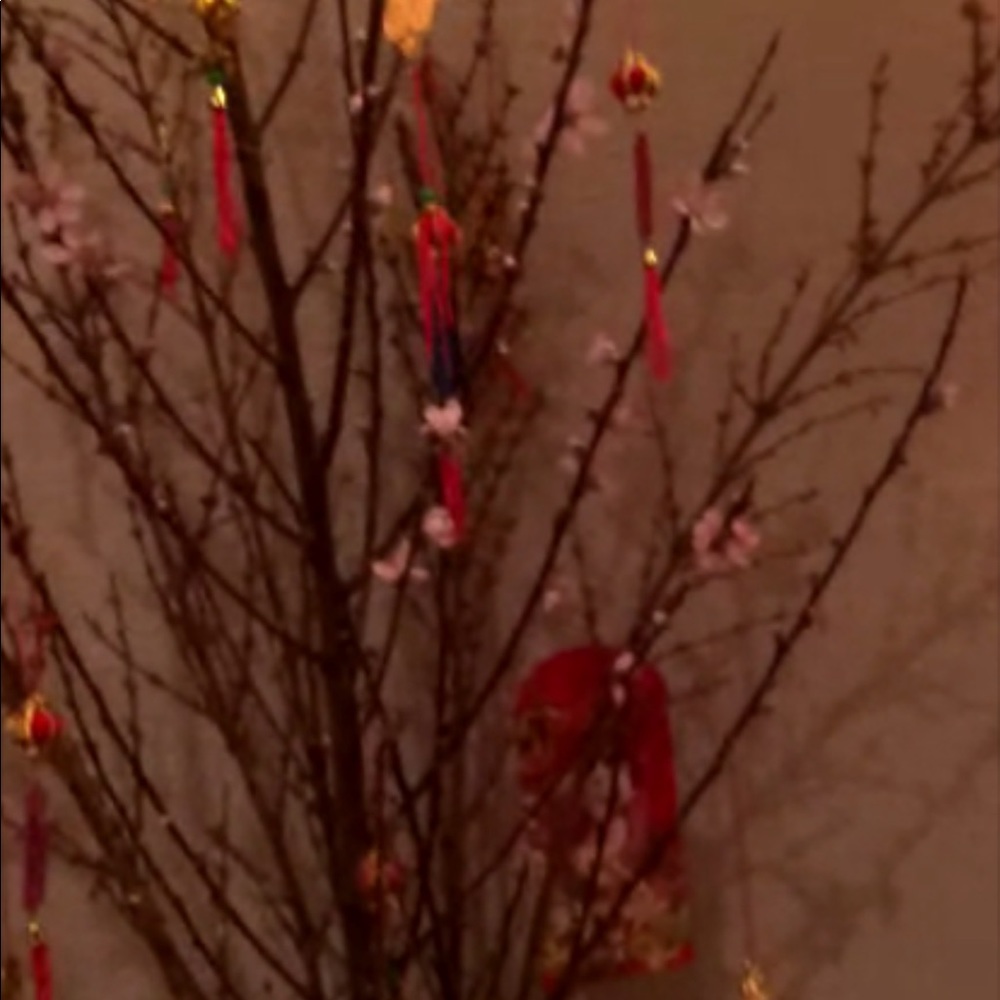 Meet your Posher, Charlie